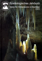 Speläologisches Jahrbuch 2005/06